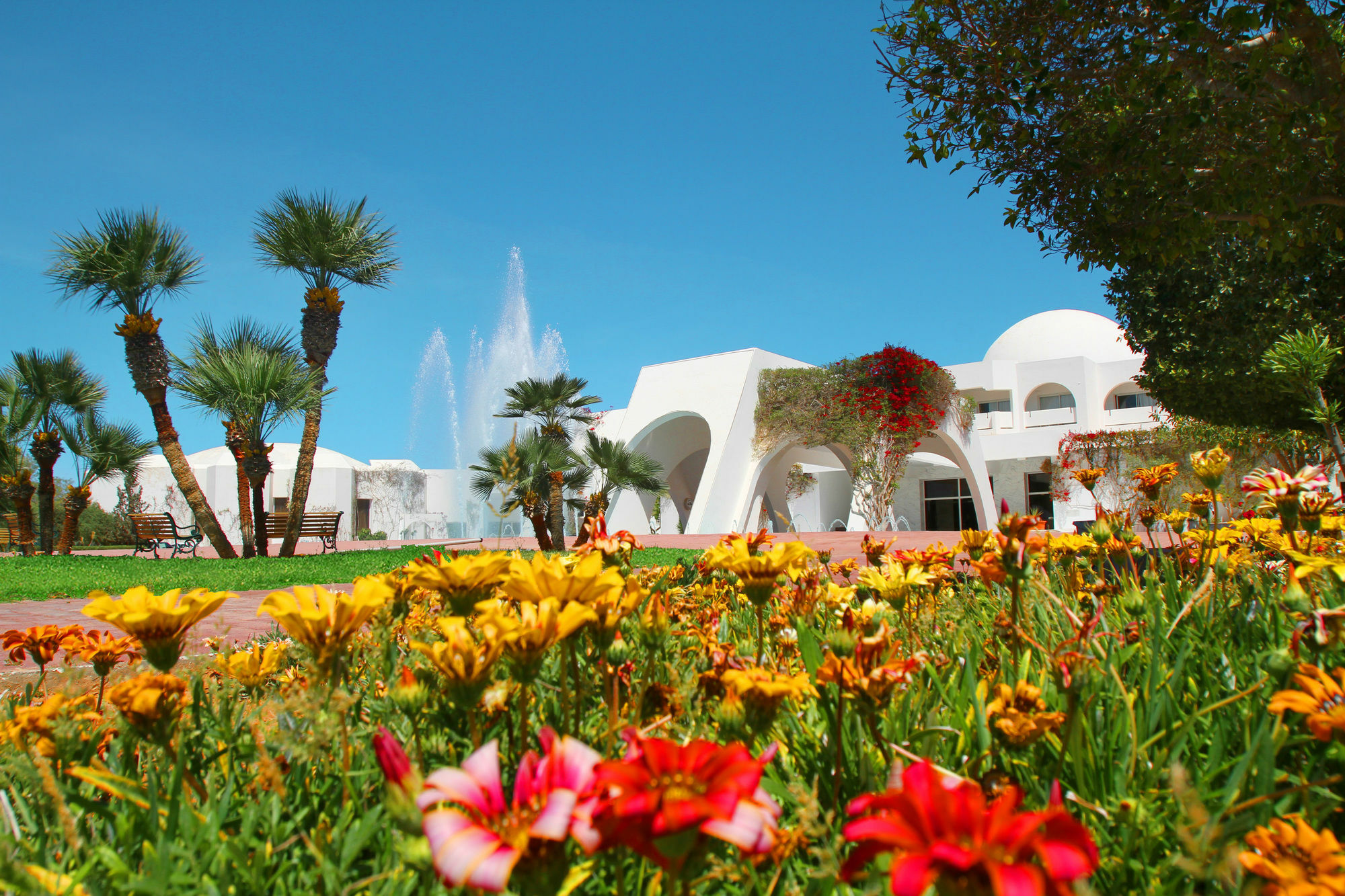 Djerba Plaza Thalasso & Spa トリッファ エクステリア 写真